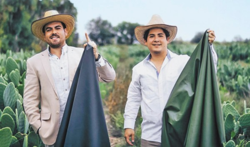 Веганская экокожа из кактуса, мексиканский стартап Adriano Di Marti, Desserto