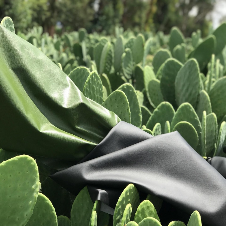 Веганская экокожа из кактуса, мексиканский стартап Adriano Di Marti, Desserto